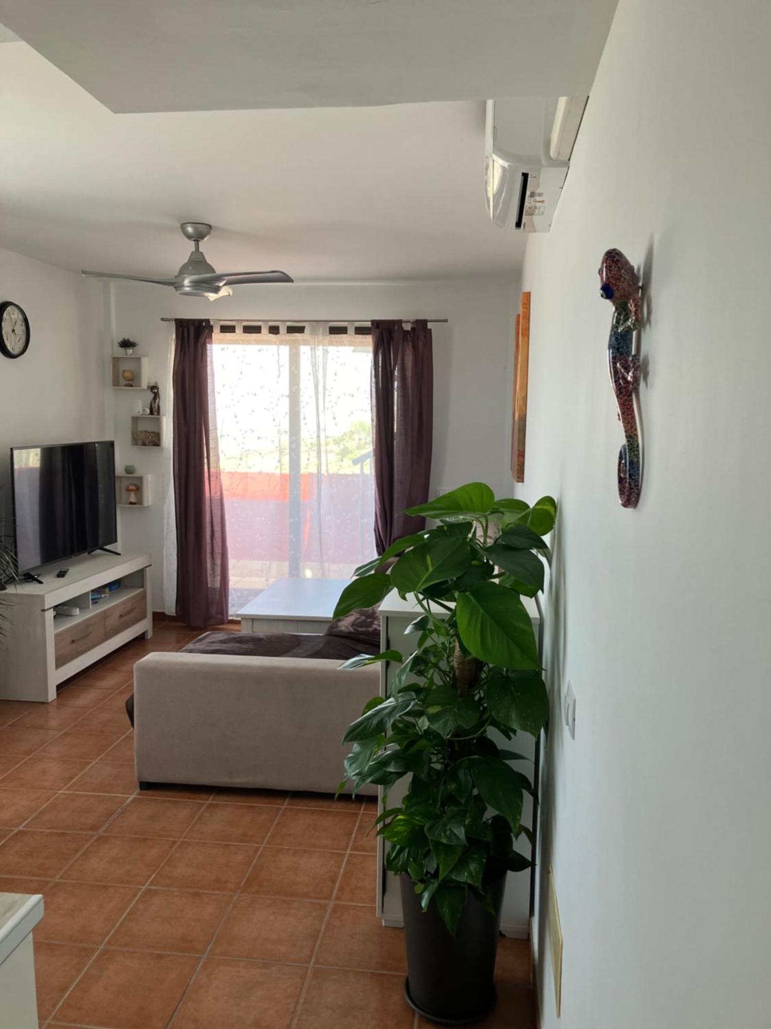 Apartament Narancsvirag